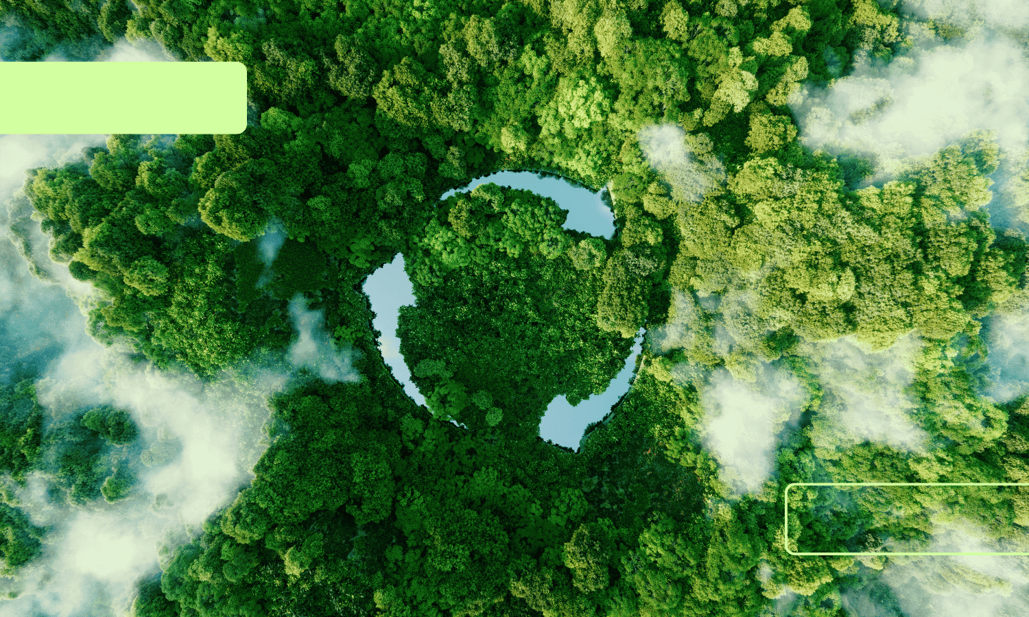 Le backup &eacute;cologique : la solution Kiwi Backup se soucie de l'environnement