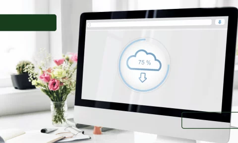 Webinar : Journ&eacute;e Mondiale de la Sauvegarde, bien choisir sa solution
